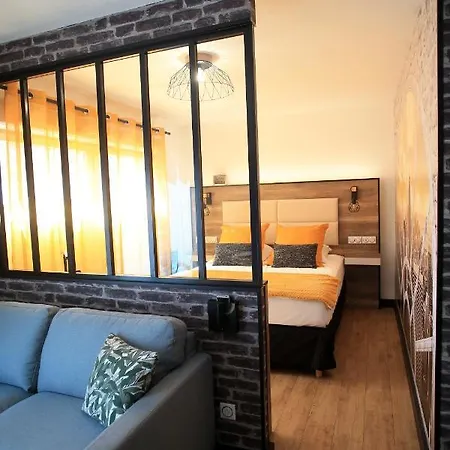 Studio Centre Grand Confort Gare Apartment *